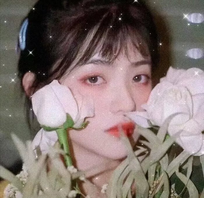 滚入红尘